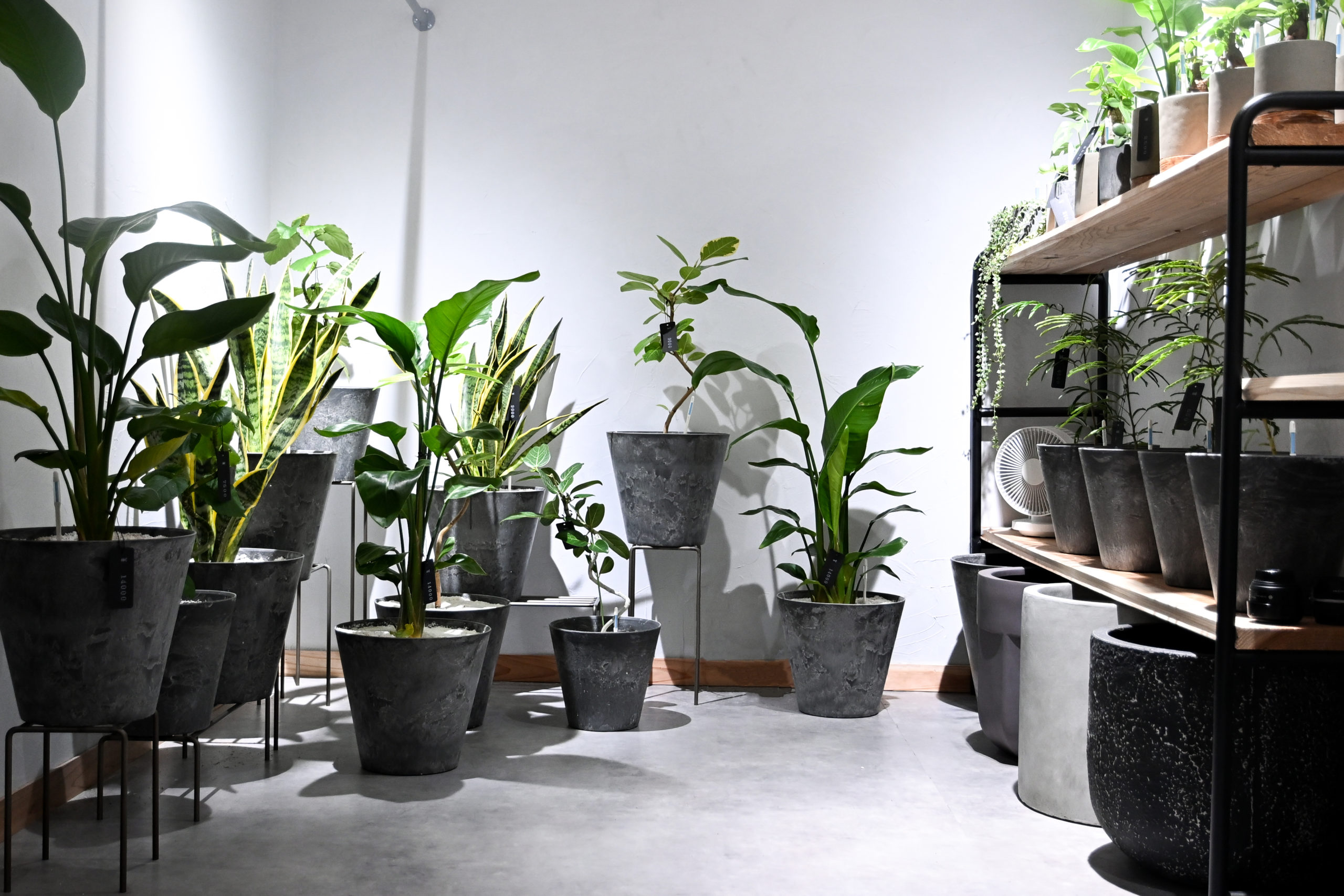 ONEPLANTS 店舗内観