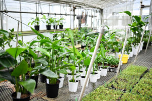 園芸農家・デザイナー監修