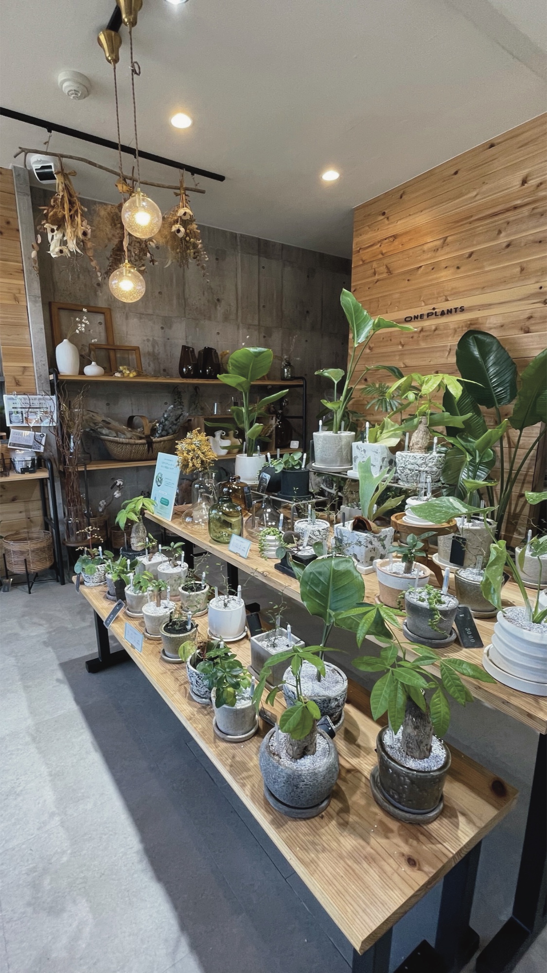 ONEPLANTS 店舗内観